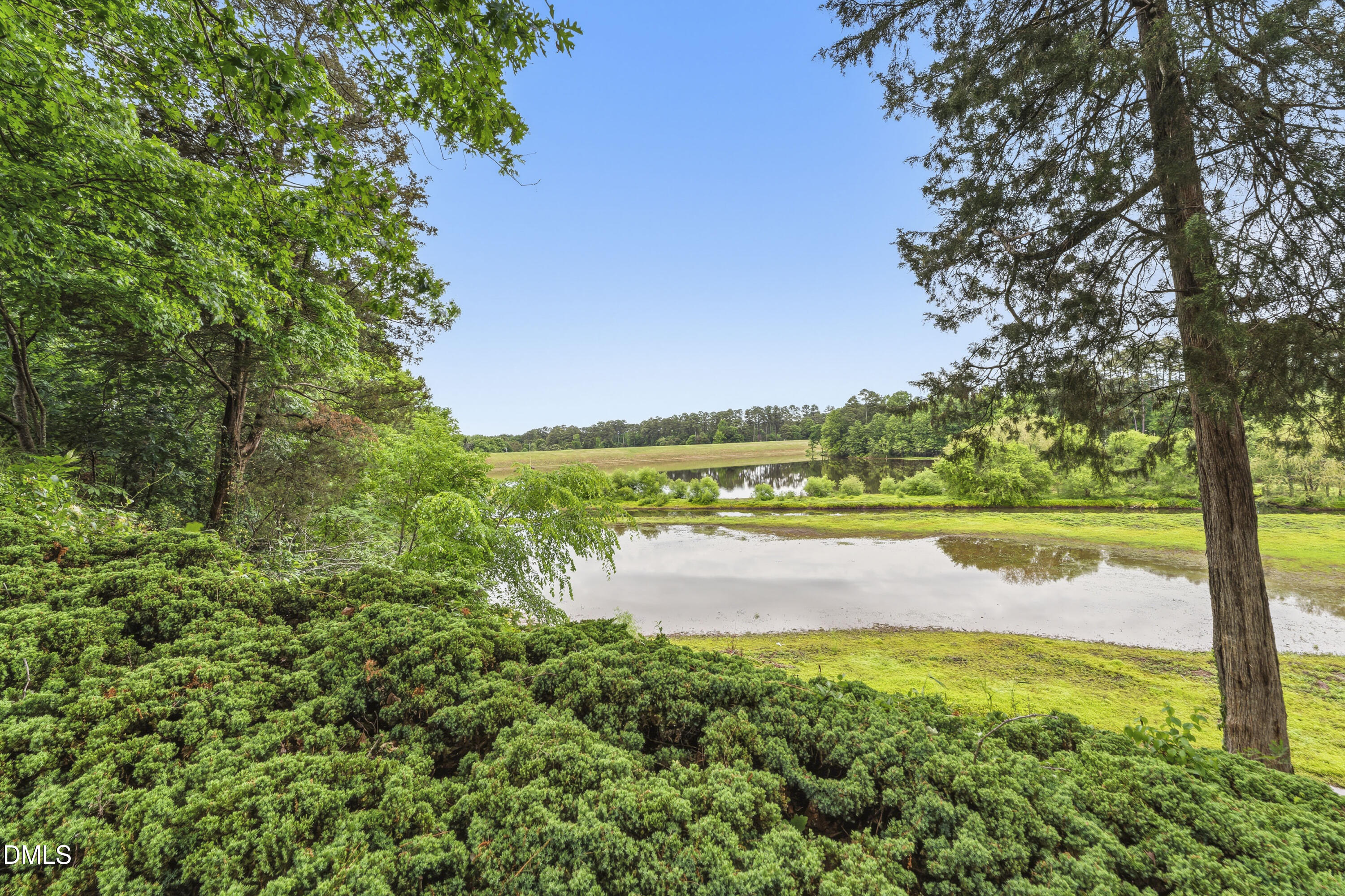 303 Pond Bluff Way Cary, NC 27513 - Photo 78 of 106 photos_high_resolution_DSC07492