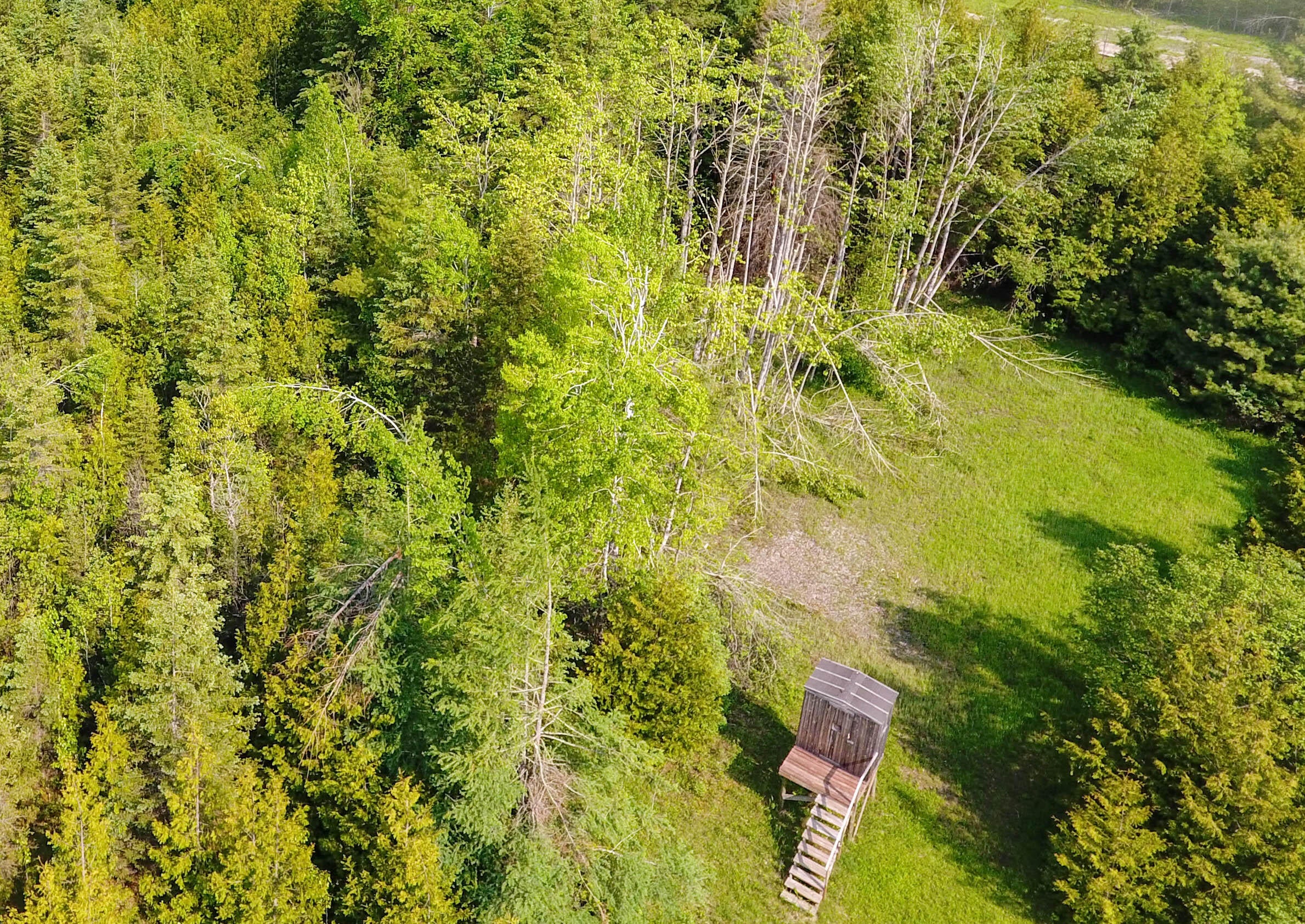 9613 Ross Road Cheboygan, MI 49721 - Photo 7 of 36 DJI_0003