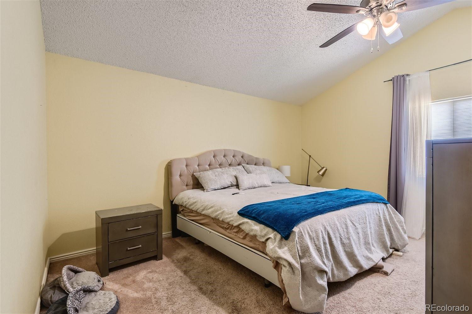 2308 Hyacinth Road Highlands Ranch, CO 80129 - Photo 14 of 30 Gallery Image 14
