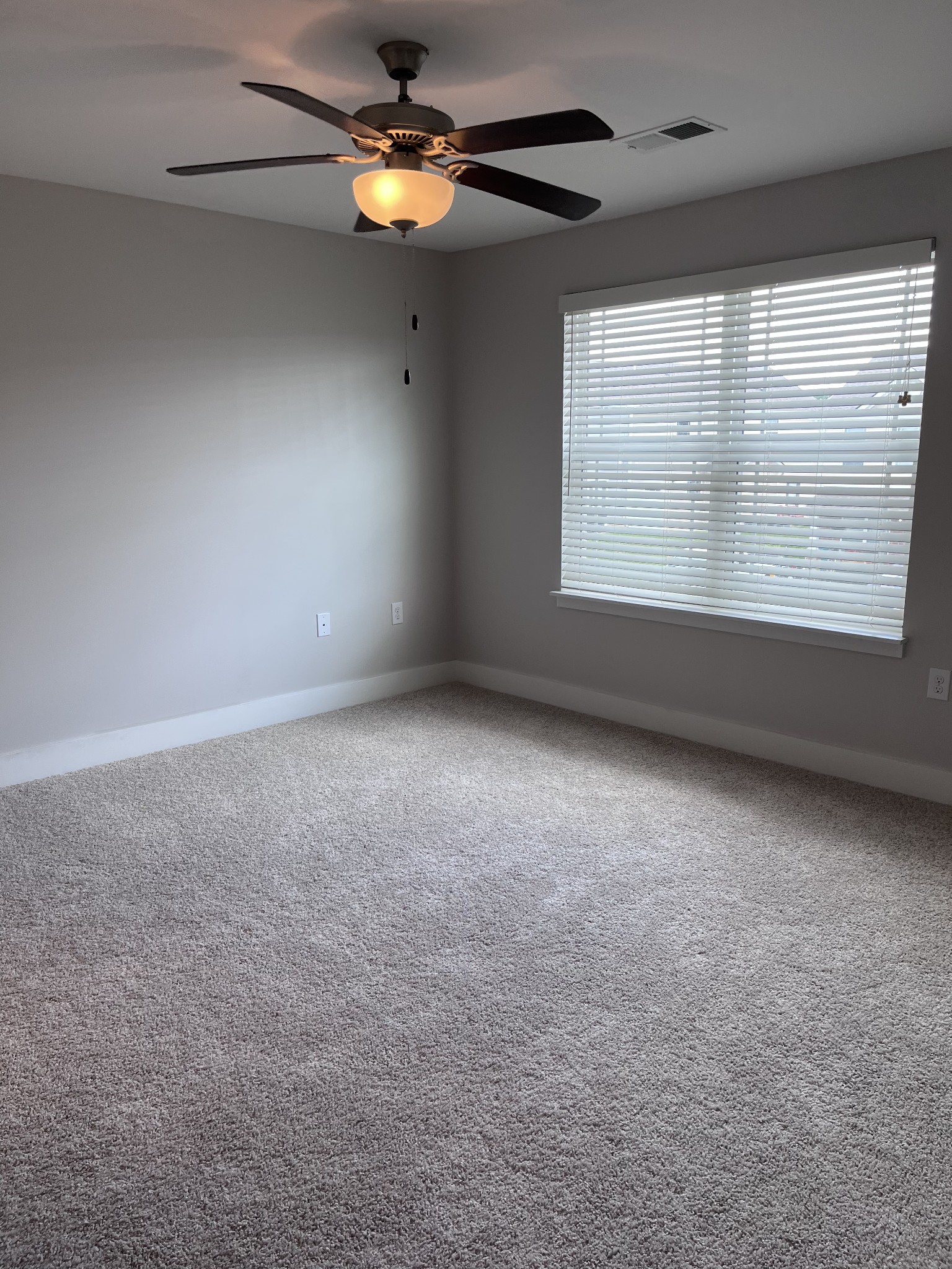 8011 Tuberose Court Spring Hill, TN 37174 - Photo 12 of 20 en empty room with windows and chandelier fan