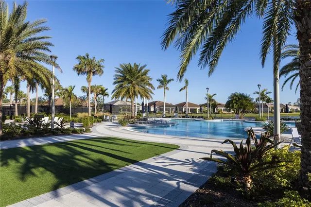 a view of a yard and palm trees