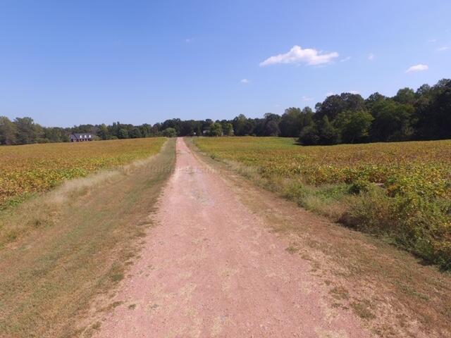 8 /- Acres Along Arkadelphia Road Jasper, AL 35504 - Photo 2 of 3 Gallery Image 2