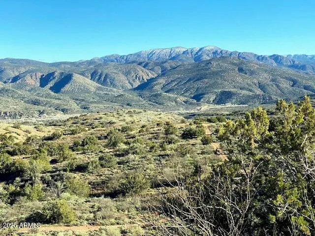 a view of a dry yard with mountains in the background
