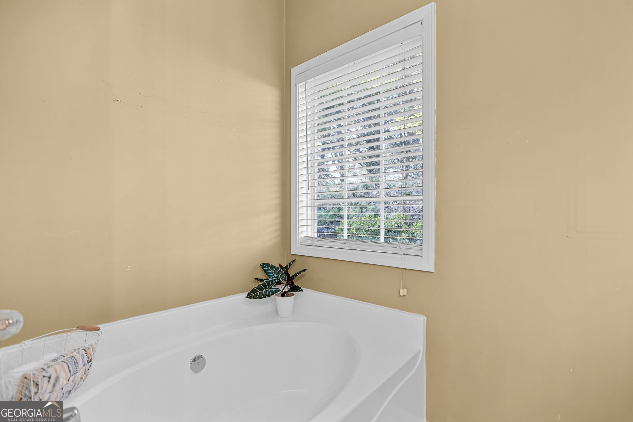 214 Meadow Run Carrollton, GA 30116 - Photo 24 of 32