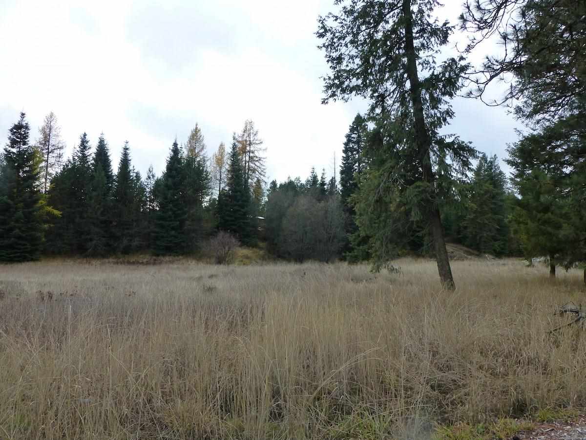4229 Hesseltine Road Valley, WA 99181 - Photo 17 of 18