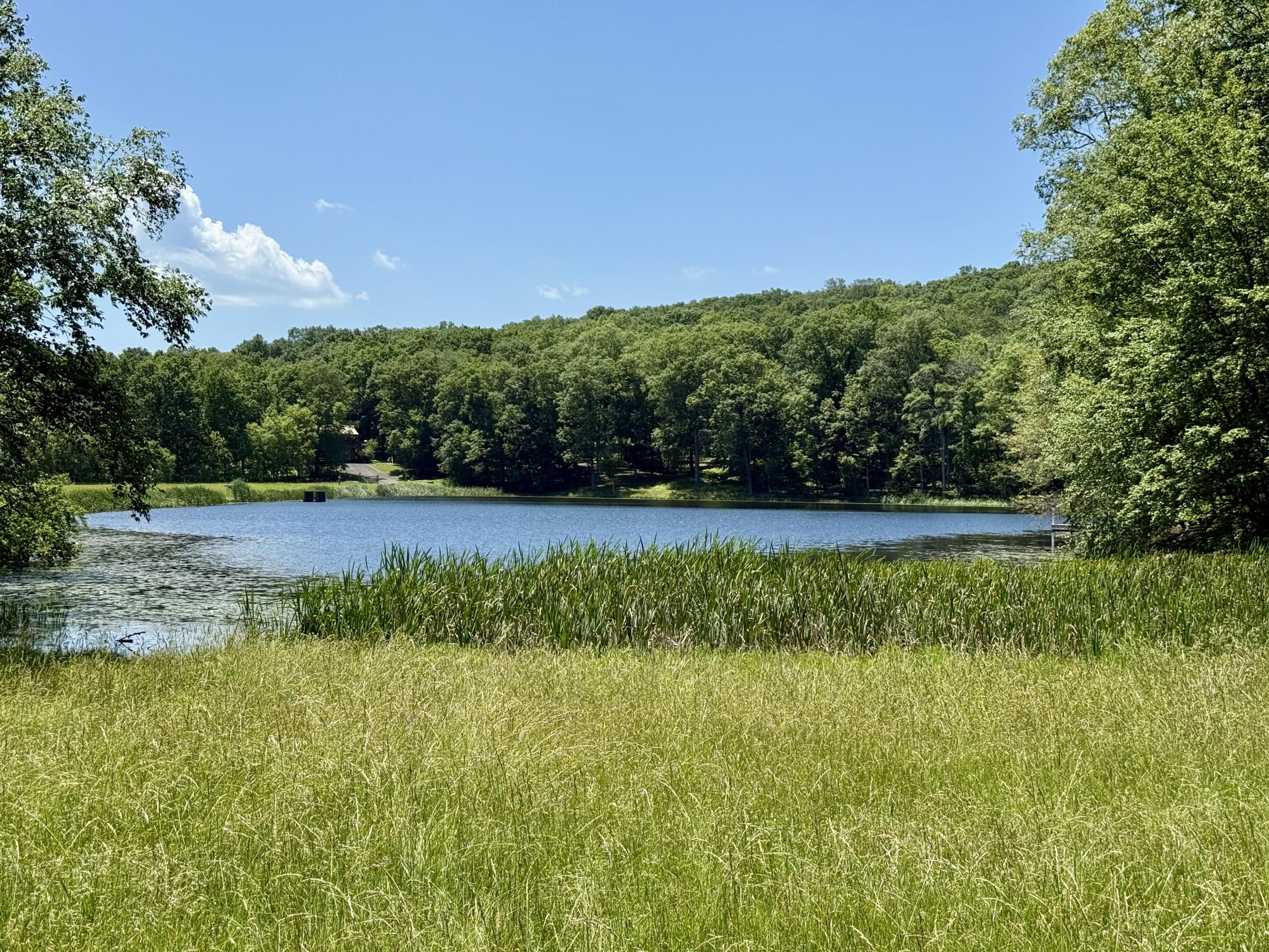 459 Pocono Boulevard Bushkill, PA 18324 - Photo 59 of 62 IMG_7893 2