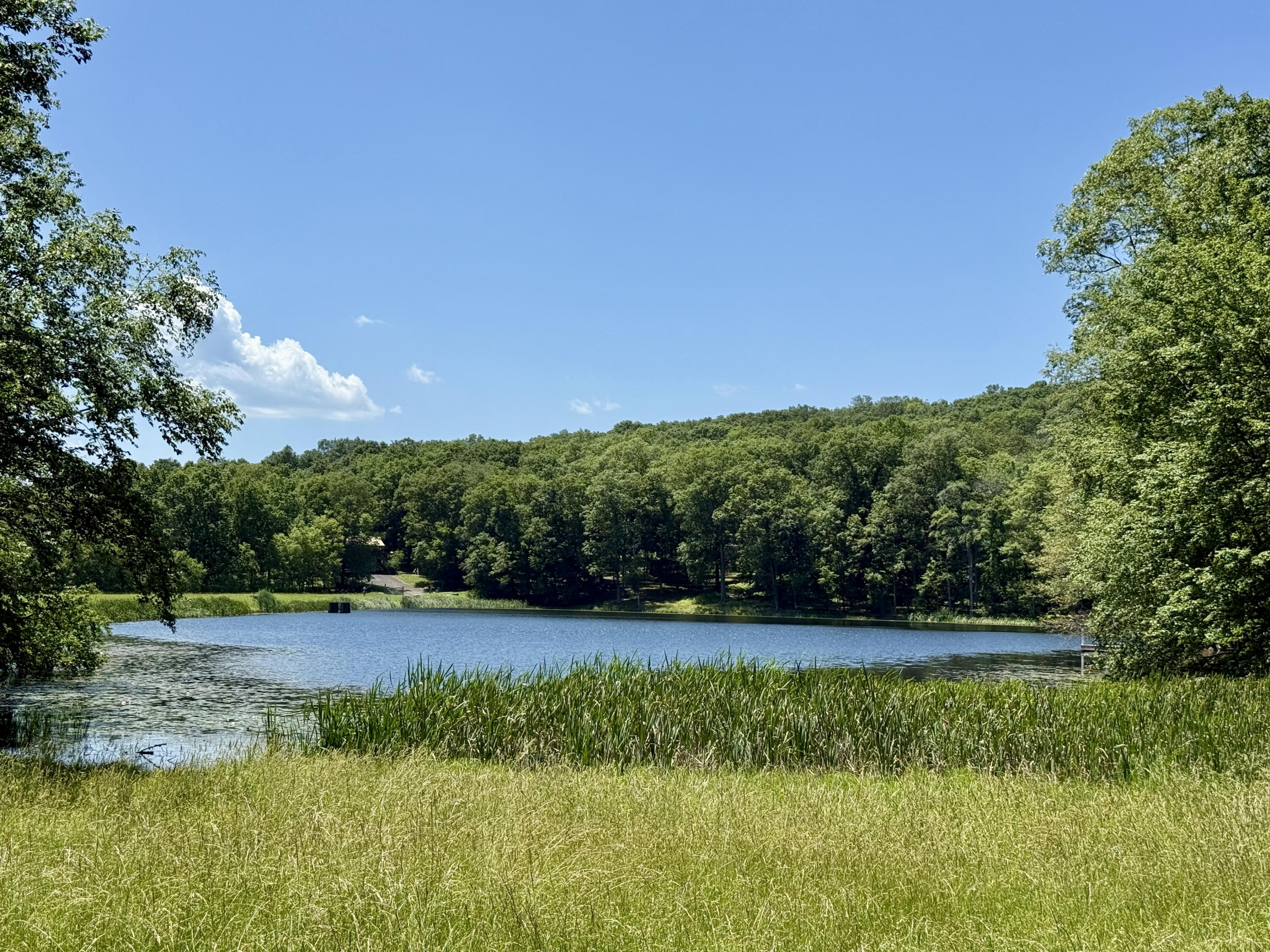 459 Pocono Boulevard Bushkill, PA 18324 - Photo 60 of 62 a view of a yard with swimming pool and green space