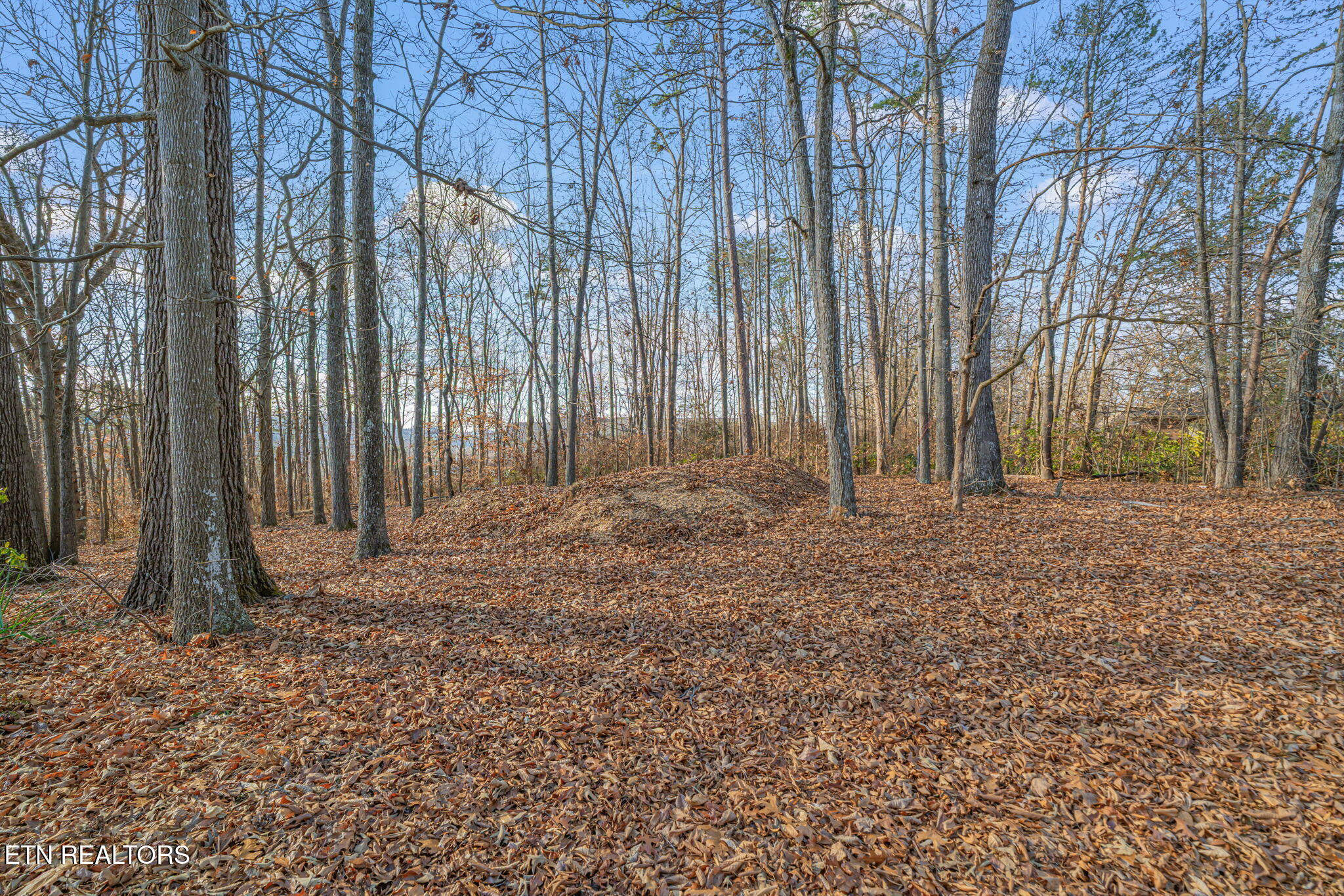 7625 Ogg Road Knoxville, TN 37938 - Photo 37 of 37 46-web-or-mls-7625 Ogg Road-46