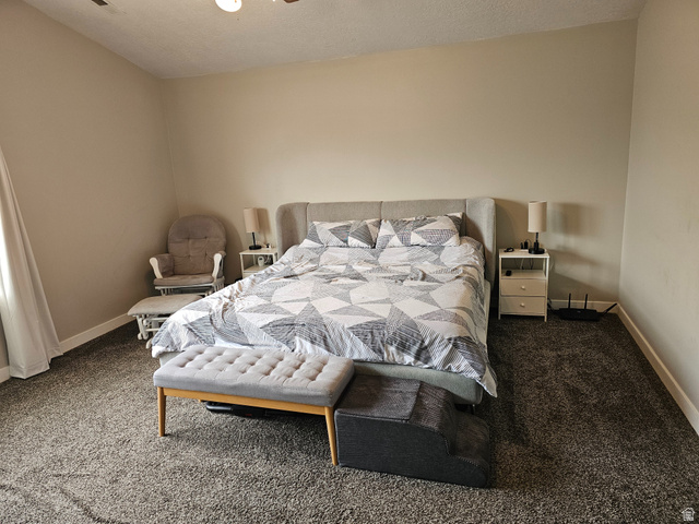 7481 Red Pine Road Eagle Mountain, UT 84005 - Photo 20 of 38 Upstairs master bedroom with Vaulted Ceilings