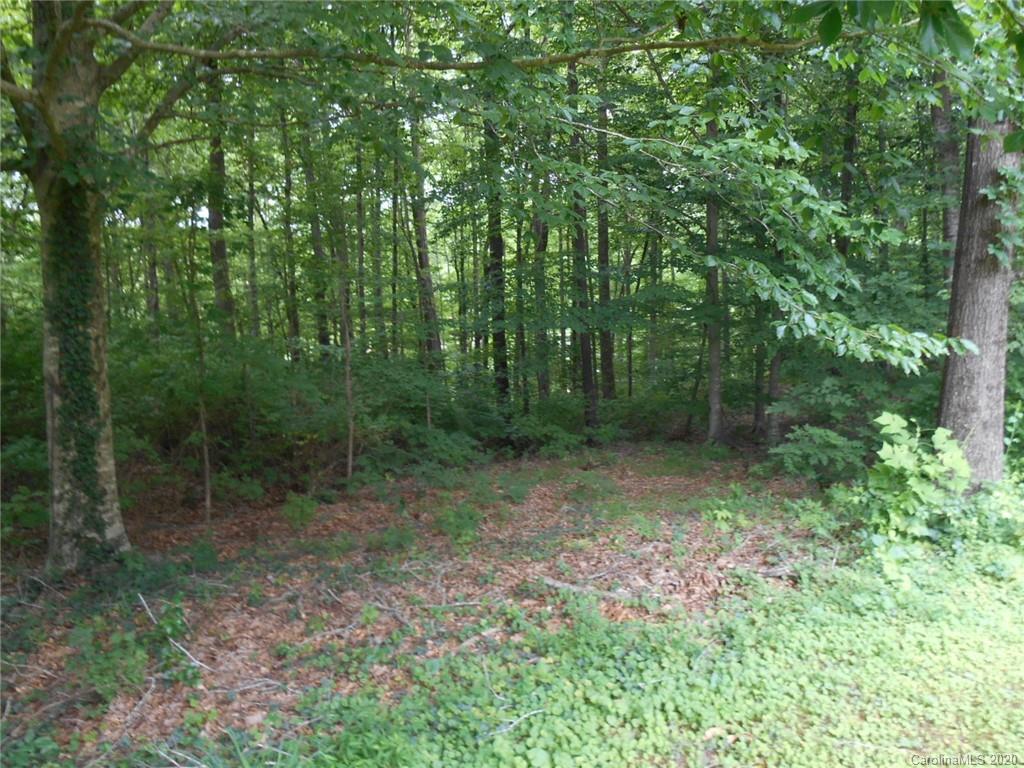 724 Laurel Ridge Road Columbus, NC 28722 - Photo 13 of 15 a view of a forest with trees in the background