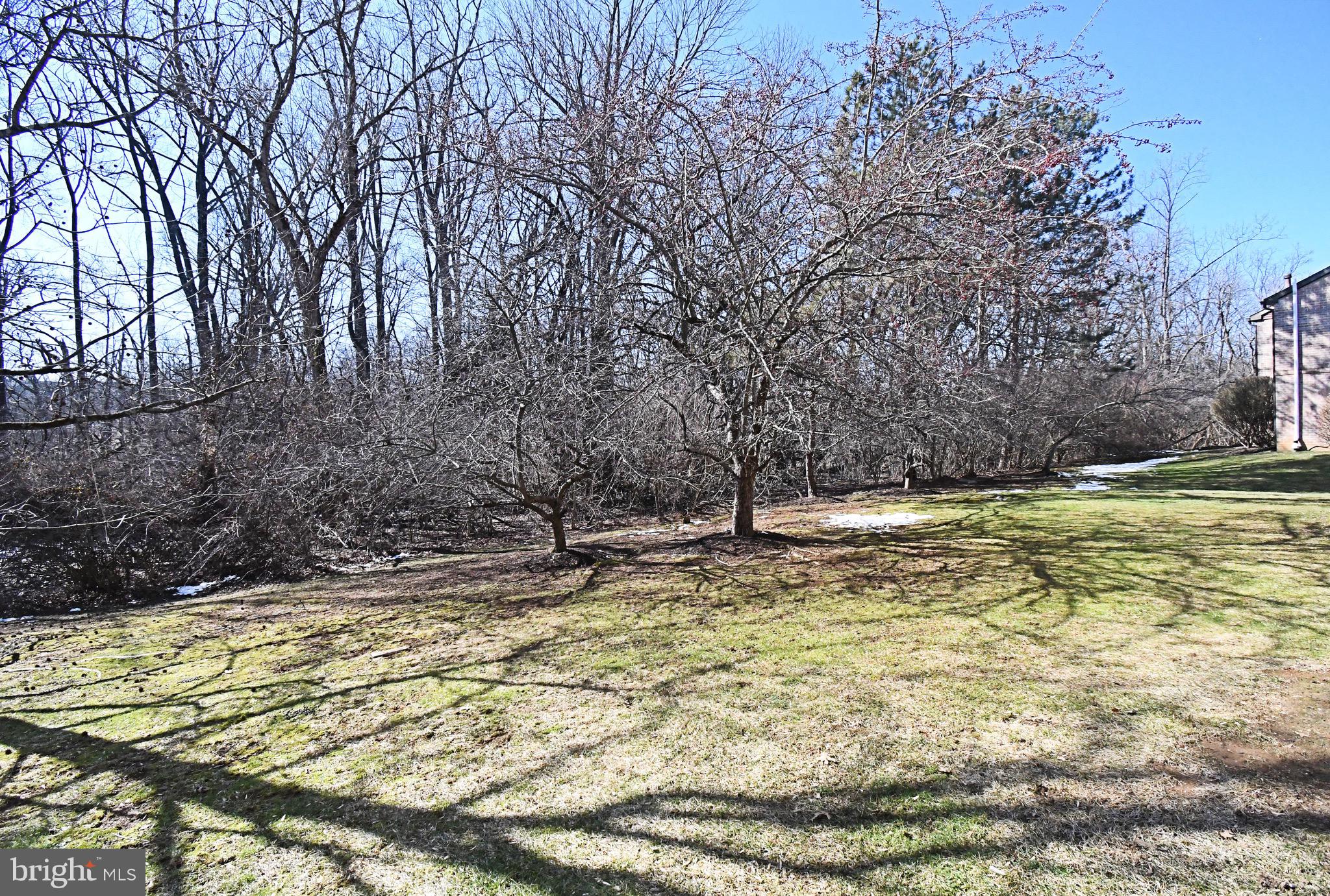 613 Washington Place, Unit 13 Chesterbrook, PA 19087 - Photo 4 of 64 a view of a yard with trees