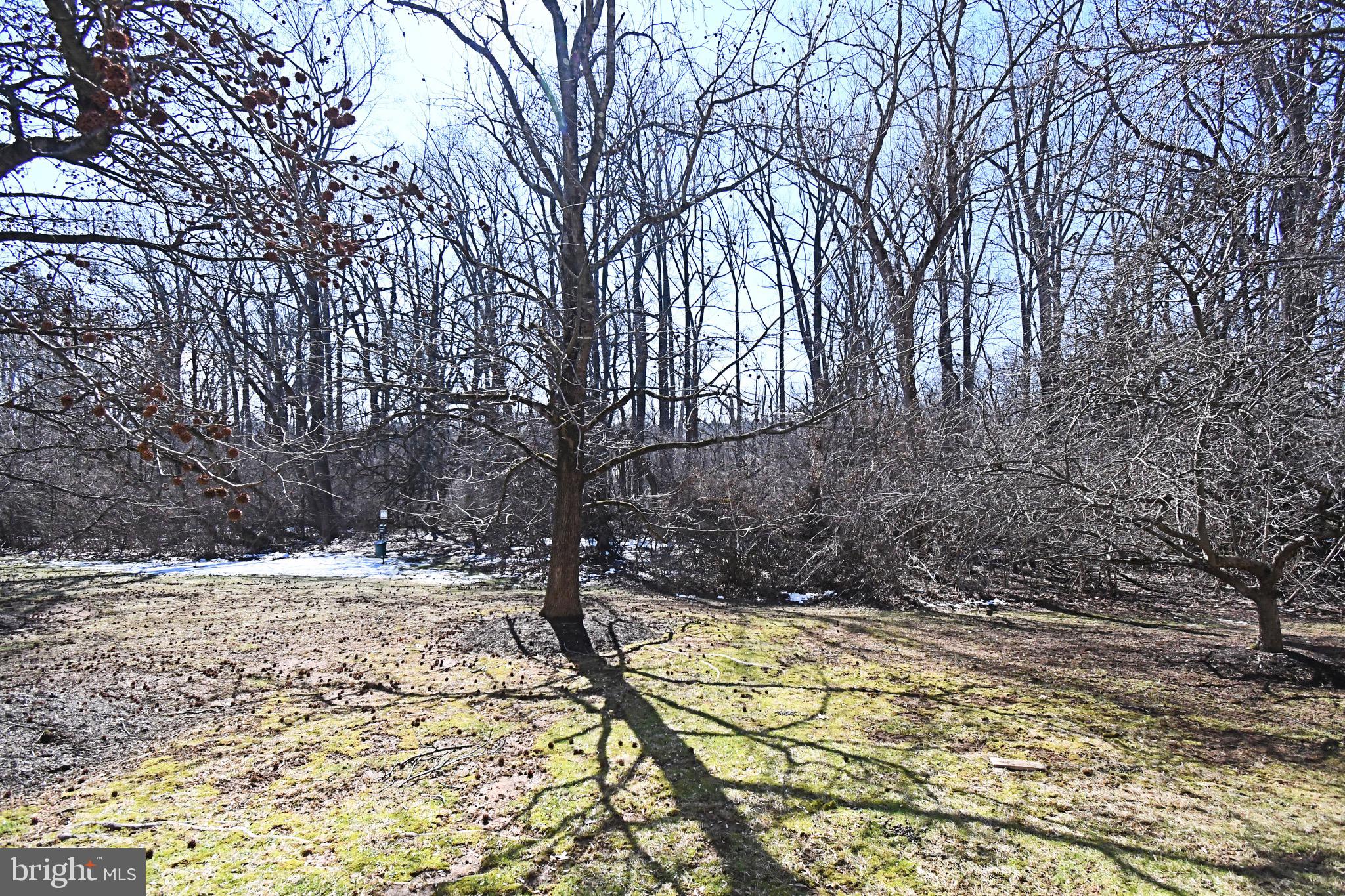 613 Washington Place, Unit 13 Chesterbrook, PA 19087 - Photo 5 of 64