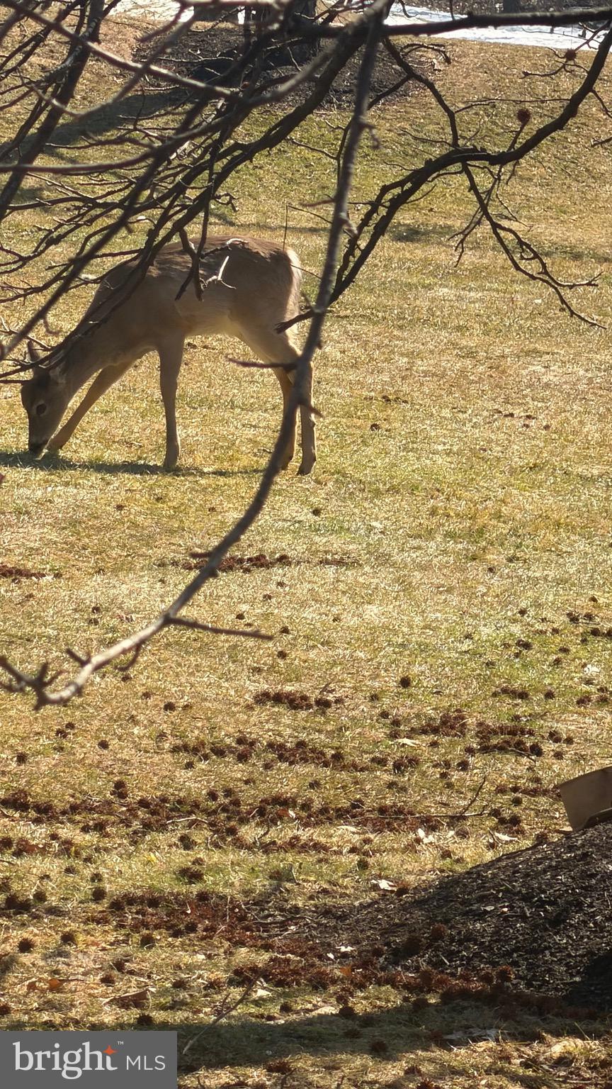 613 Washington Place, Unit 13 Chesterbrook, PA 19087 - Photo 51 of 64