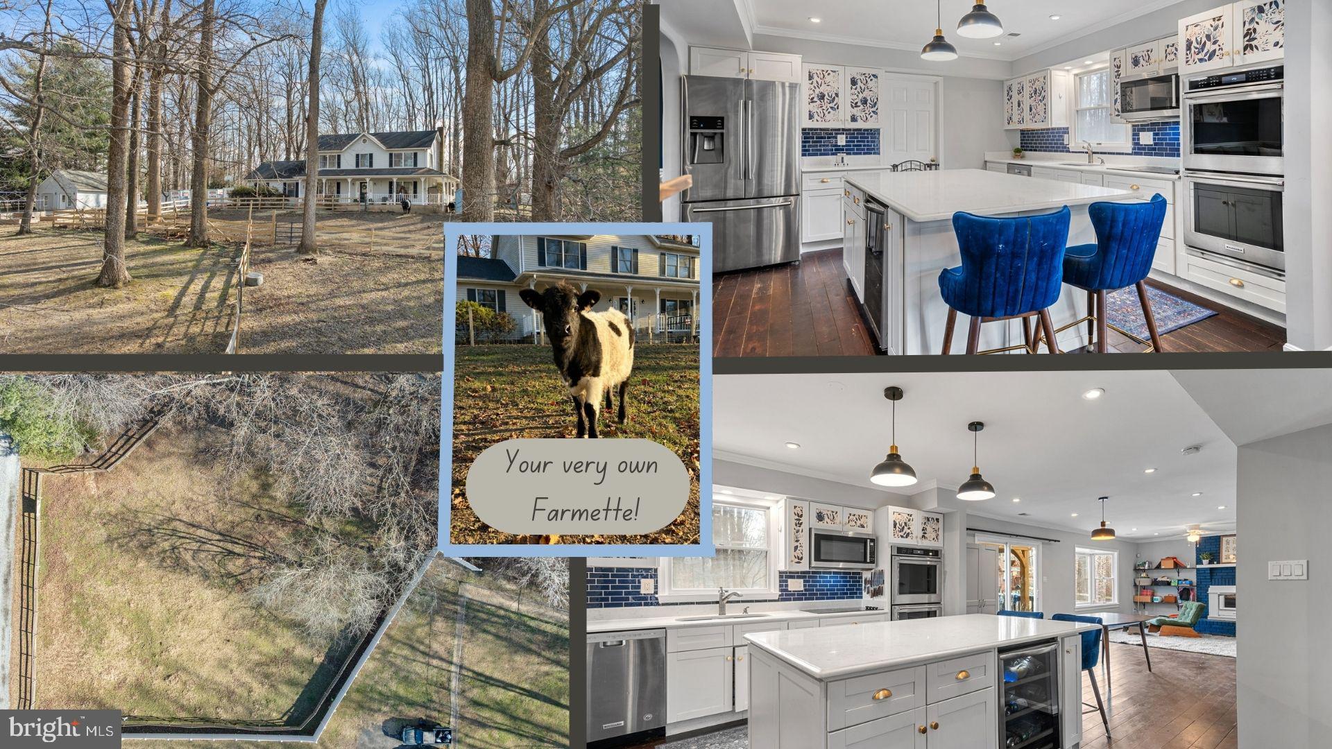 a living room with stainless steel appliances kitchen island granite countertop furniture a rug kitchen view and a chandelier