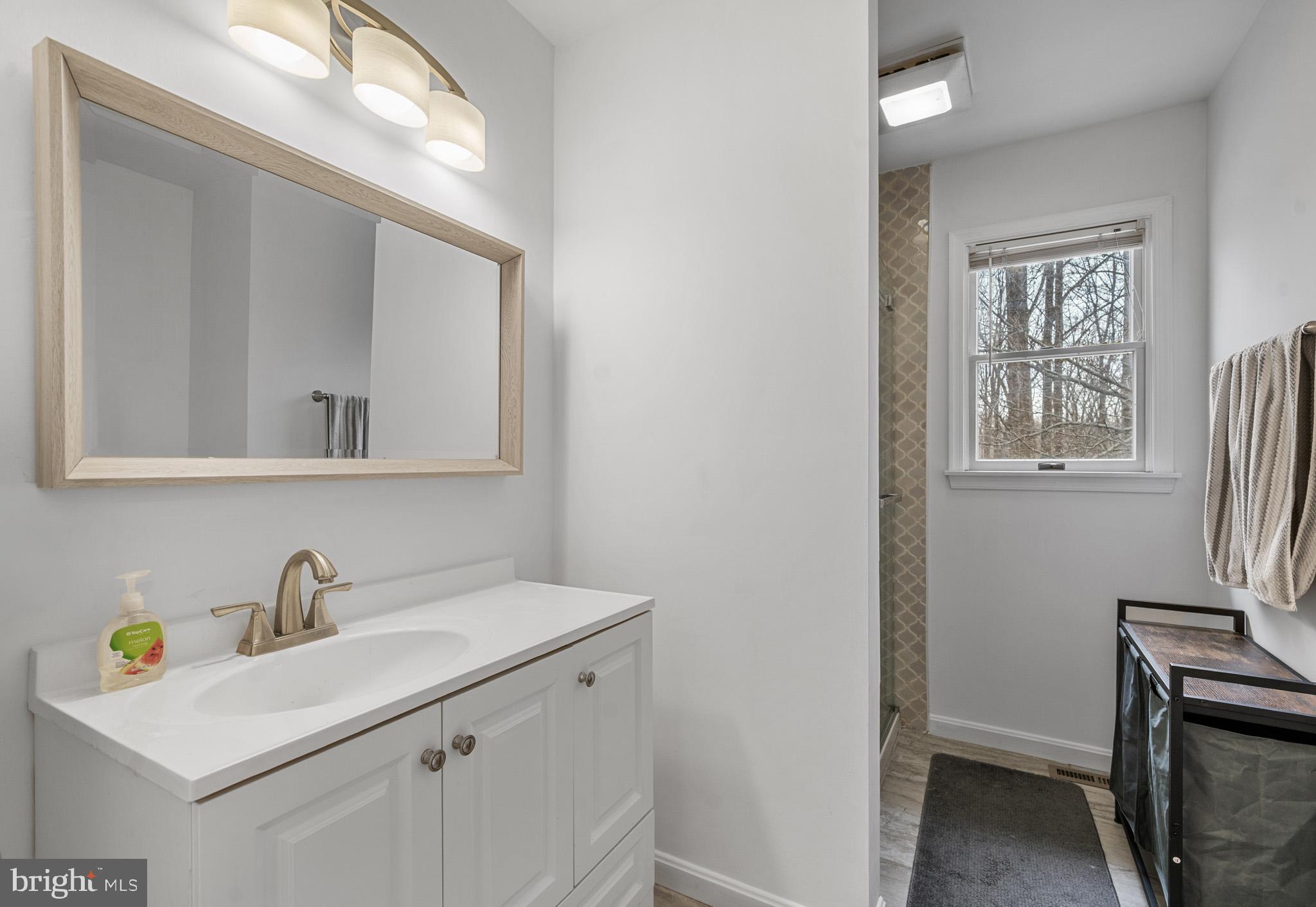5918 Old Croom Station Road Upper Marlboro, MD 20772 - Photo 41 of 89 a bathroom with a sink a mirror and a window
