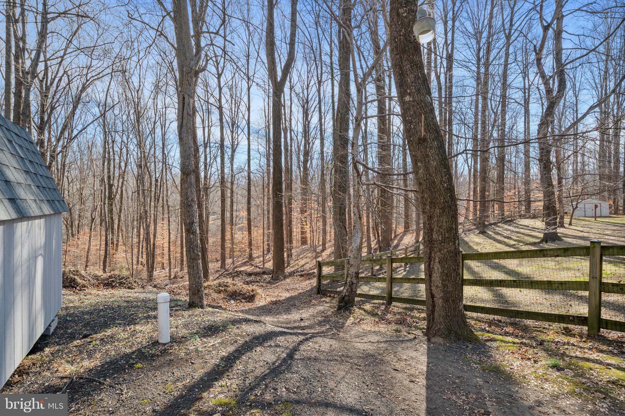 5918 Old Croom Station Road Upper Marlboro, MD 20772 - Photo 71 of 89 a view of a backyard with a trees
