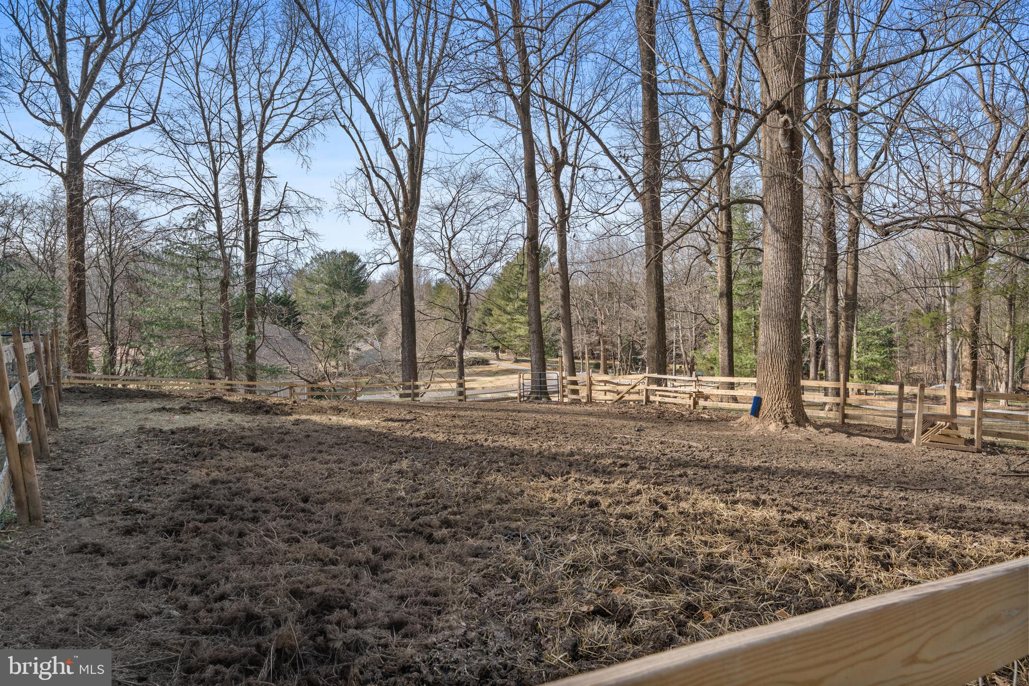 5918 Old Croom Station Road Upper Marlboro, MD 20772 - Photo 74 of 89 a view of a yard with a tree