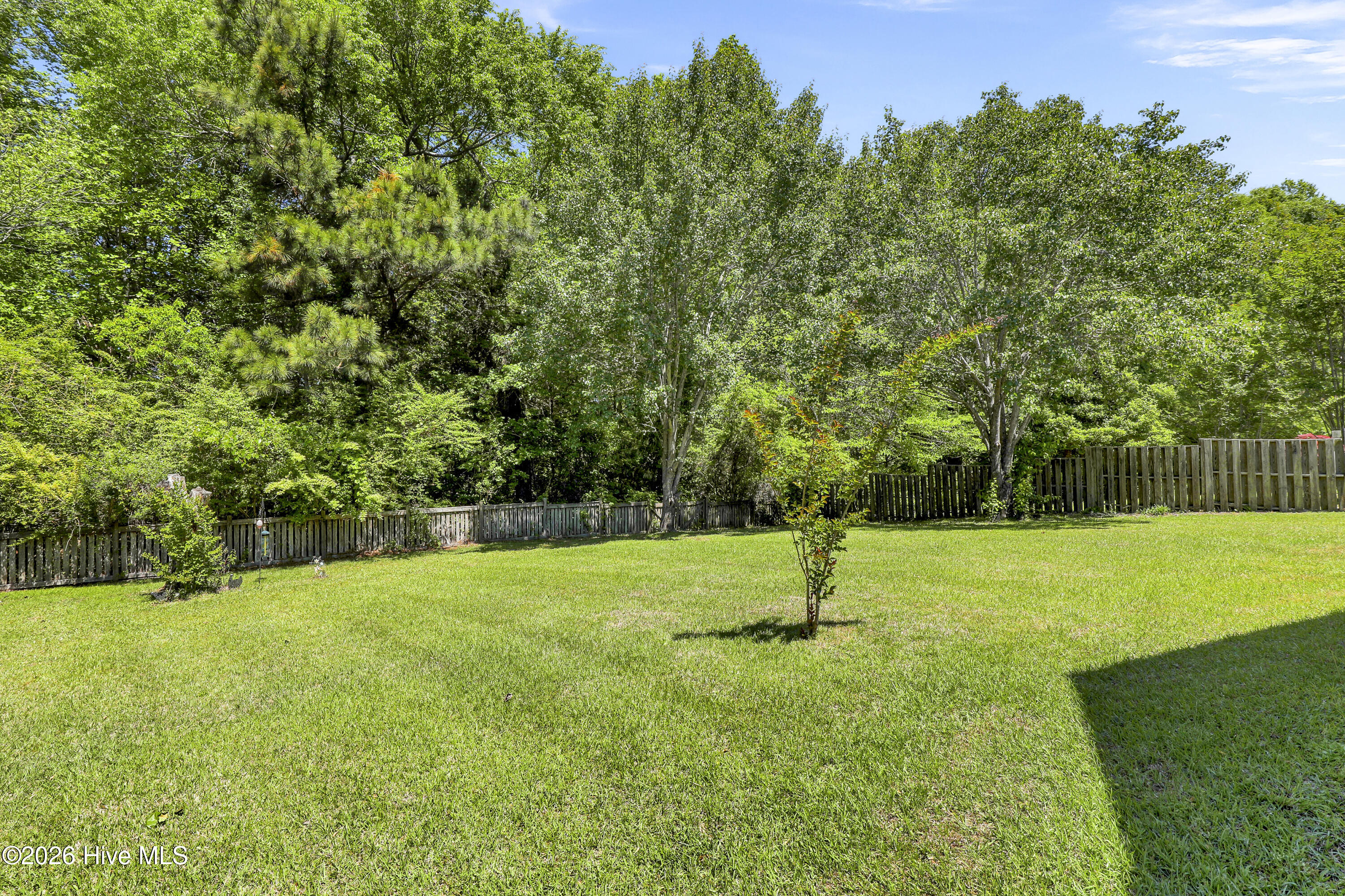 1124 Mill Run Road Sneads Ferry, NC 28460 - Photo 25 of 41 6G8A3825