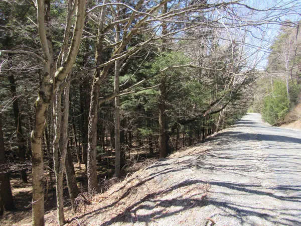 $65,000 | 0 Stratton View Road, Unit 58, Winhall, VT 05340