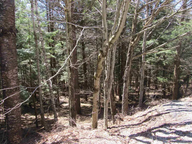 $65,000 | 0 Stratton View Road, Unit 58, Winhall, VT 05340