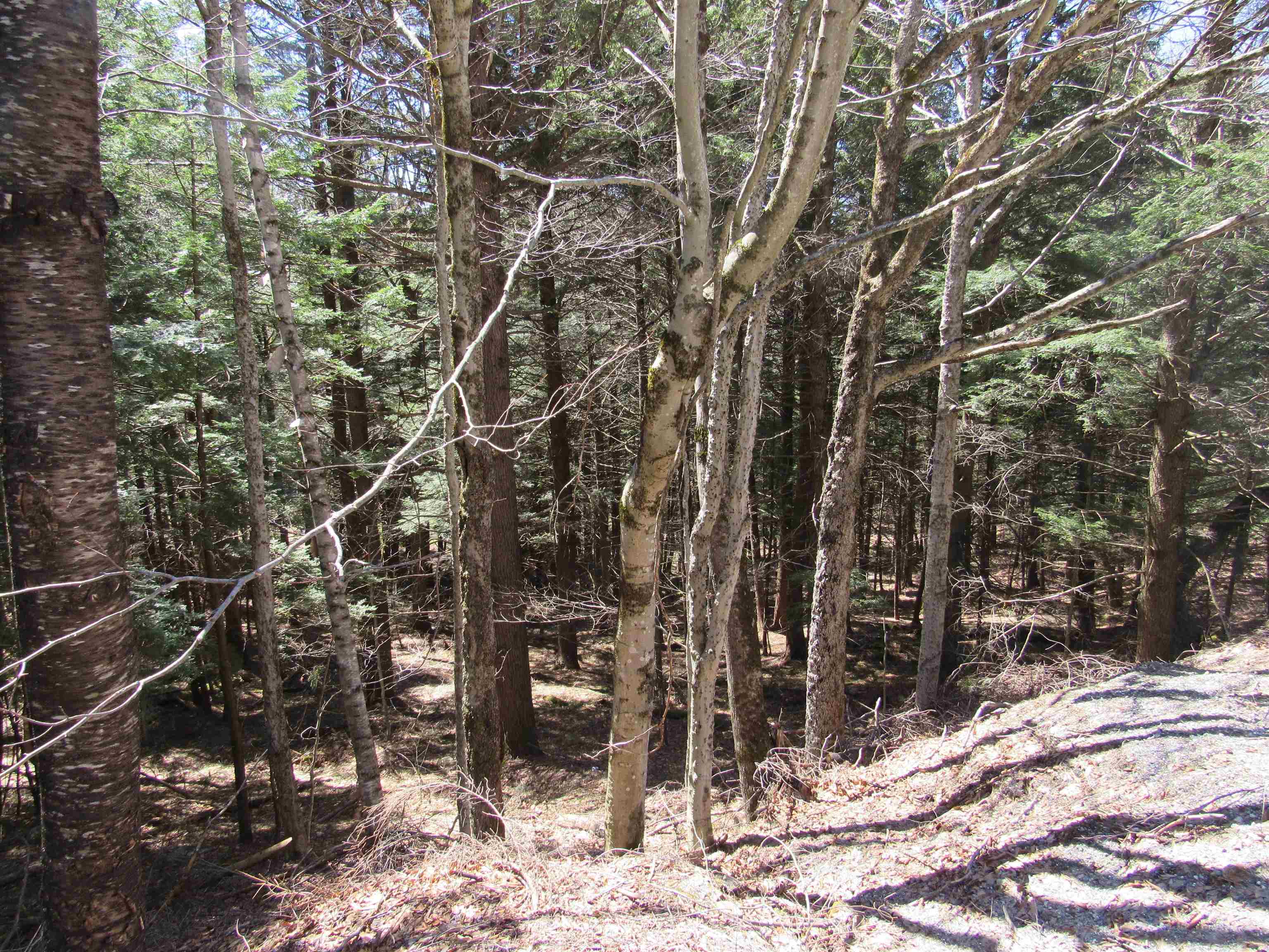 0 Stratton View Road, Unit 58 Winhall, VT 05340 - Photo 2 of 9