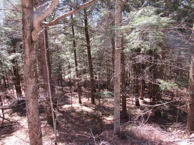 $65,000 | 0 Stratton View Road, Unit 58, Winhall, VT 05340