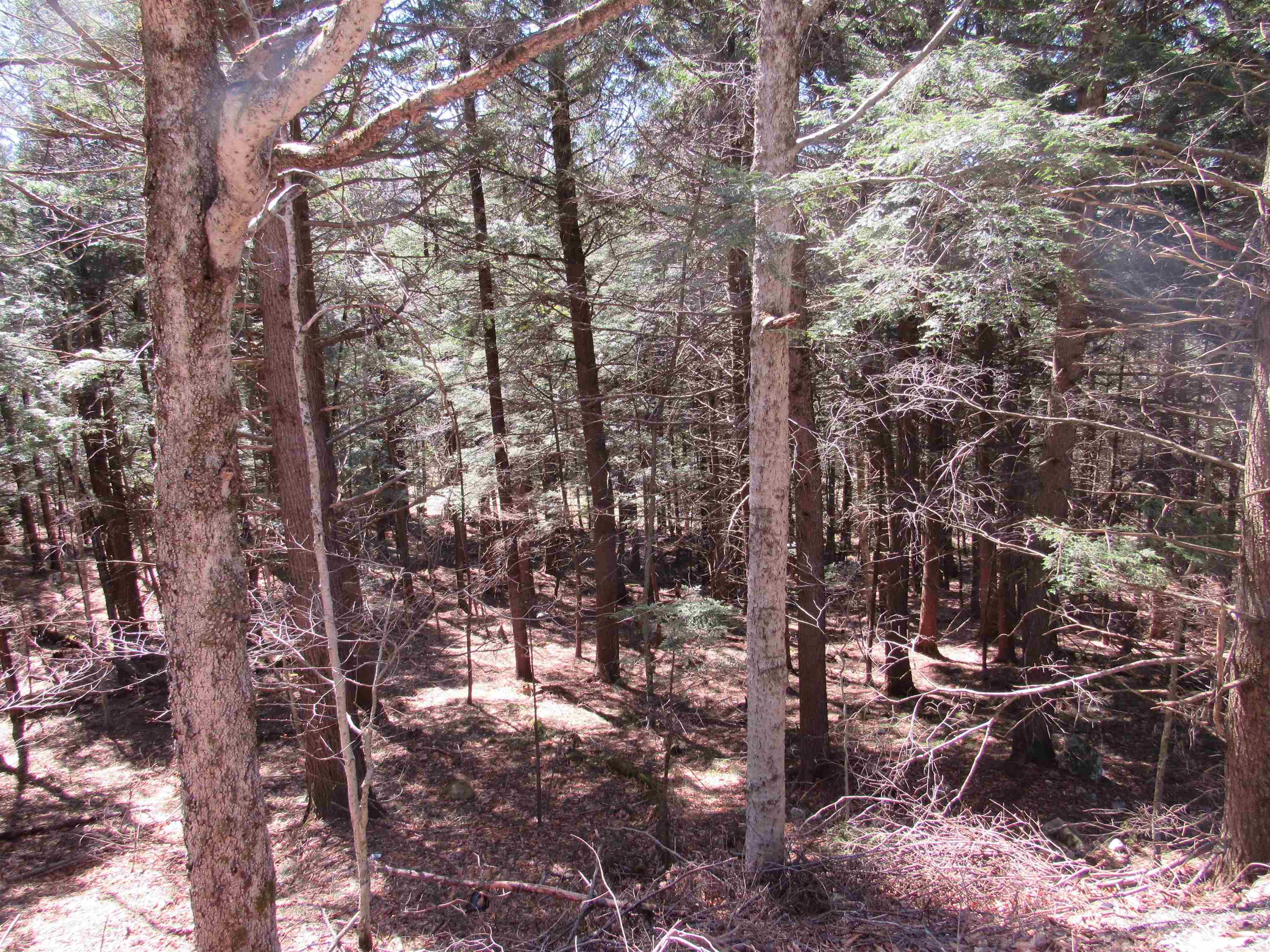 0 Stratton View Road, Unit 58 Winhall, VT 05340 - Photo 3 of 9