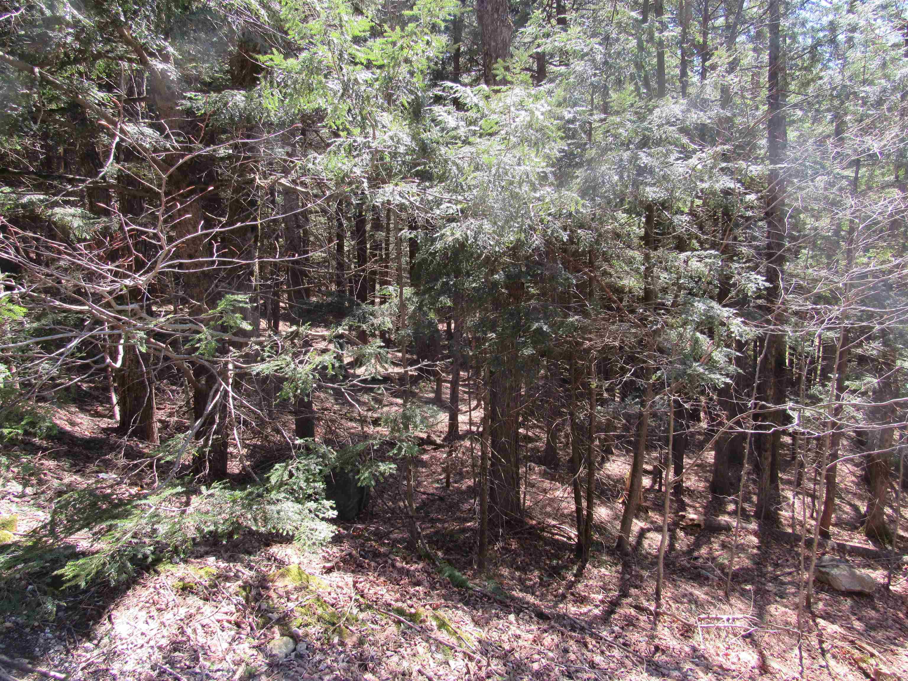 0 Stratton View Road, Unit 58 Winhall, VT 05340 - Photo 5 of 9