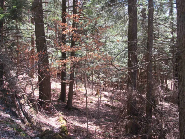 $65,000 | 0 Stratton View Road, Unit 58, Winhall, VT 05340