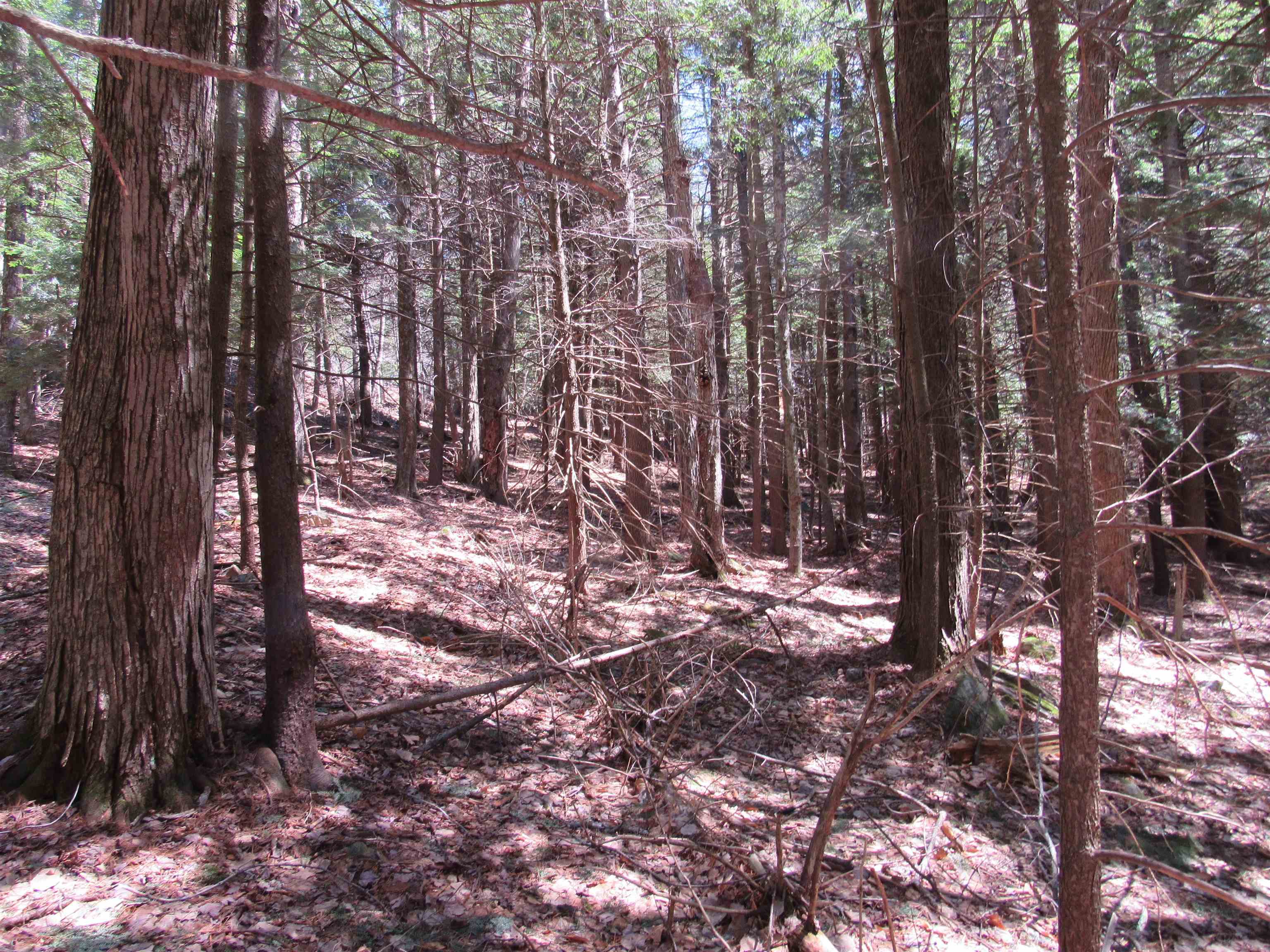 0 Stratton View Road, Unit 58 Winhall, VT 05340 - Photo 9 of 9