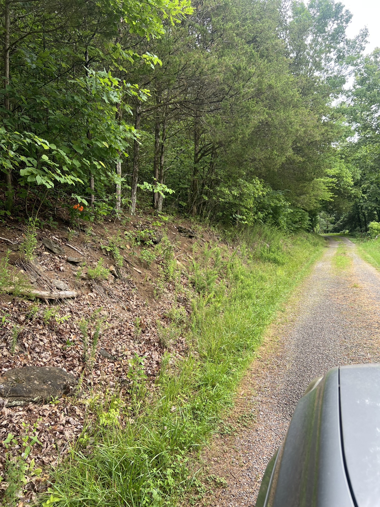 32 Patterson Lane Pleasant Shade, TN 37145 - Photo 6 of 33