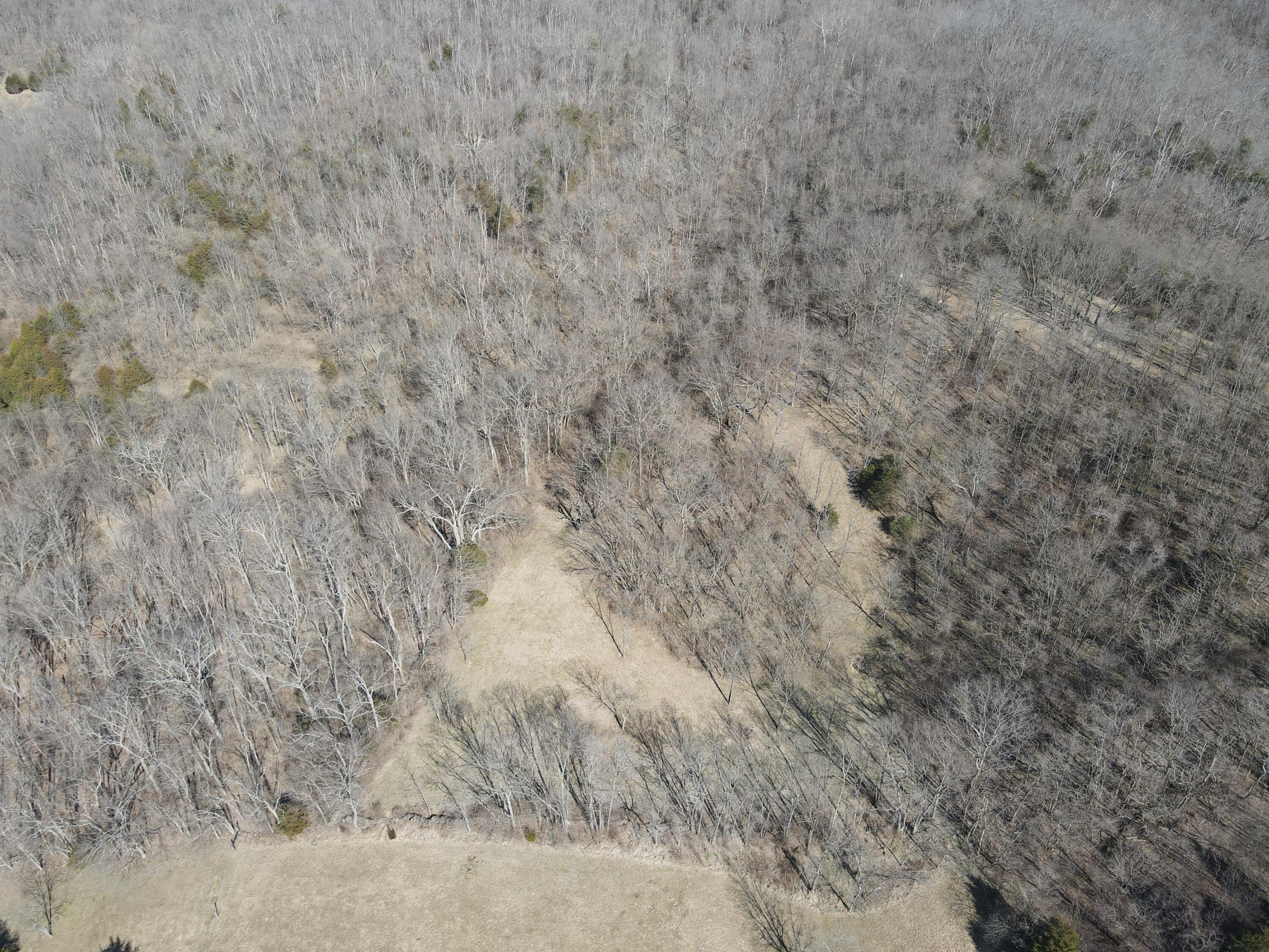 555 Morris Road Sadieville, KY 40370 - Photo 45 of 58 DJI_0480