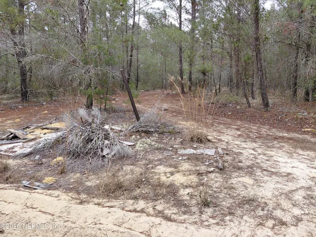 $10,000 | 0 Oak Terrace, Interlachen, FL 32148