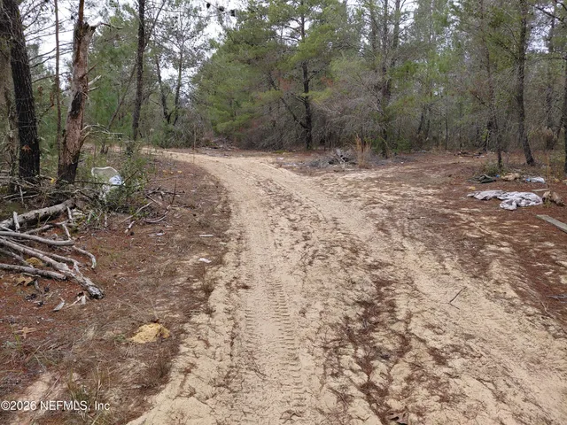 $10,000 | 0 Oak Terrace, Interlachen, FL 32148