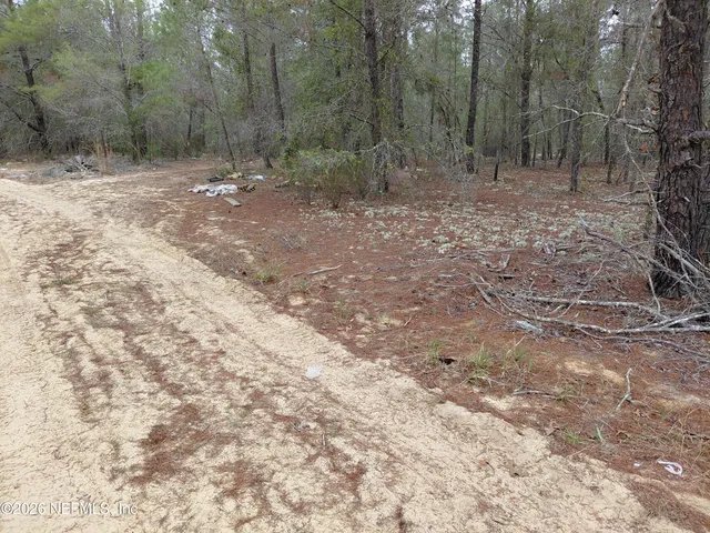 $10,000 | 0 Oak Terrace, Interlachen, FL 32148