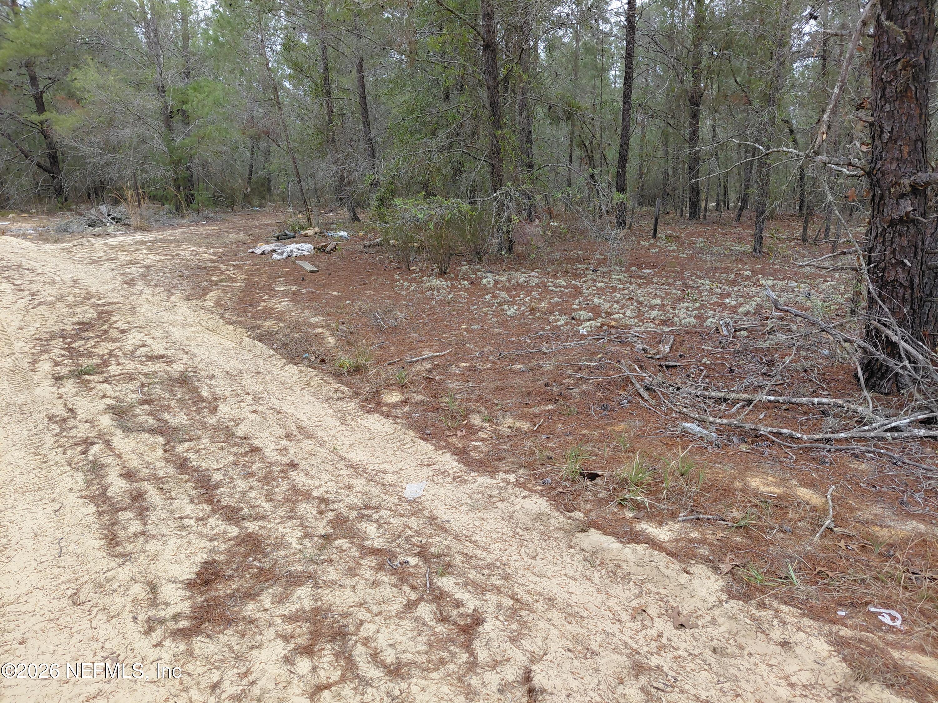 0 Oak Terrace Interlachen, FL 32148 - Photo 5 of 9 Oak Terrace