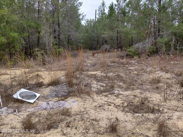 $10,000 | 0 Oak Terrace, Interlachen, FL 32148