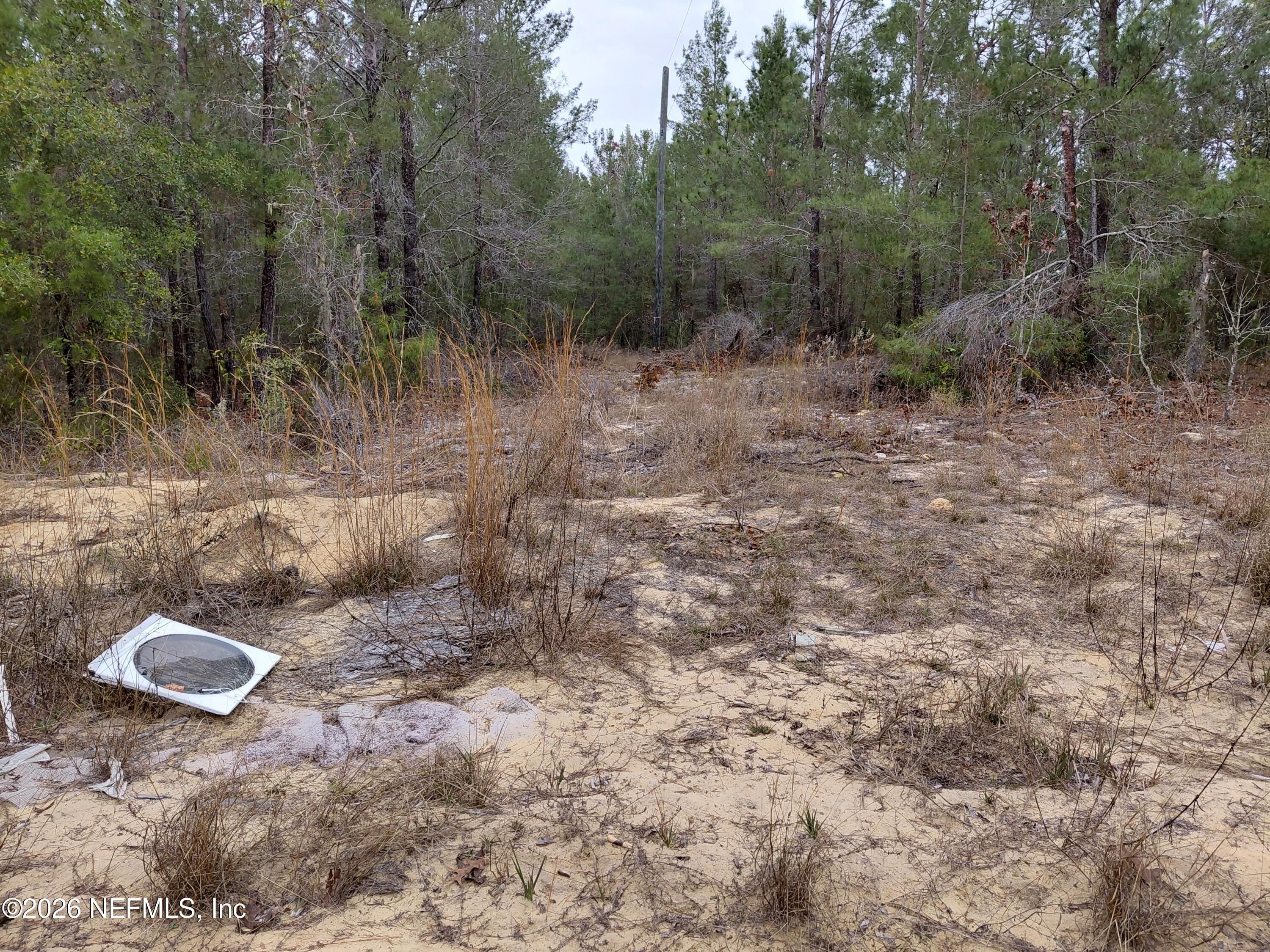 0 Oak Terrace Interlachen, FL 32148 - Photo 6 of 9 Oak Terrace 4