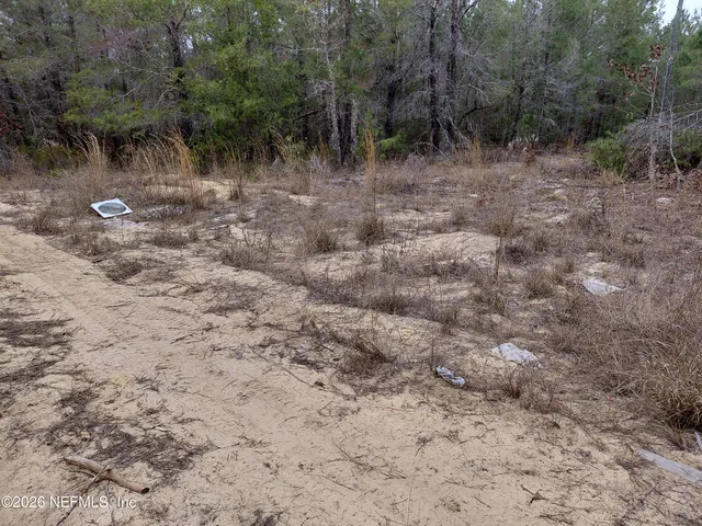 $10,000 | 0 Oak Terrace, Interlachen, FL 32148