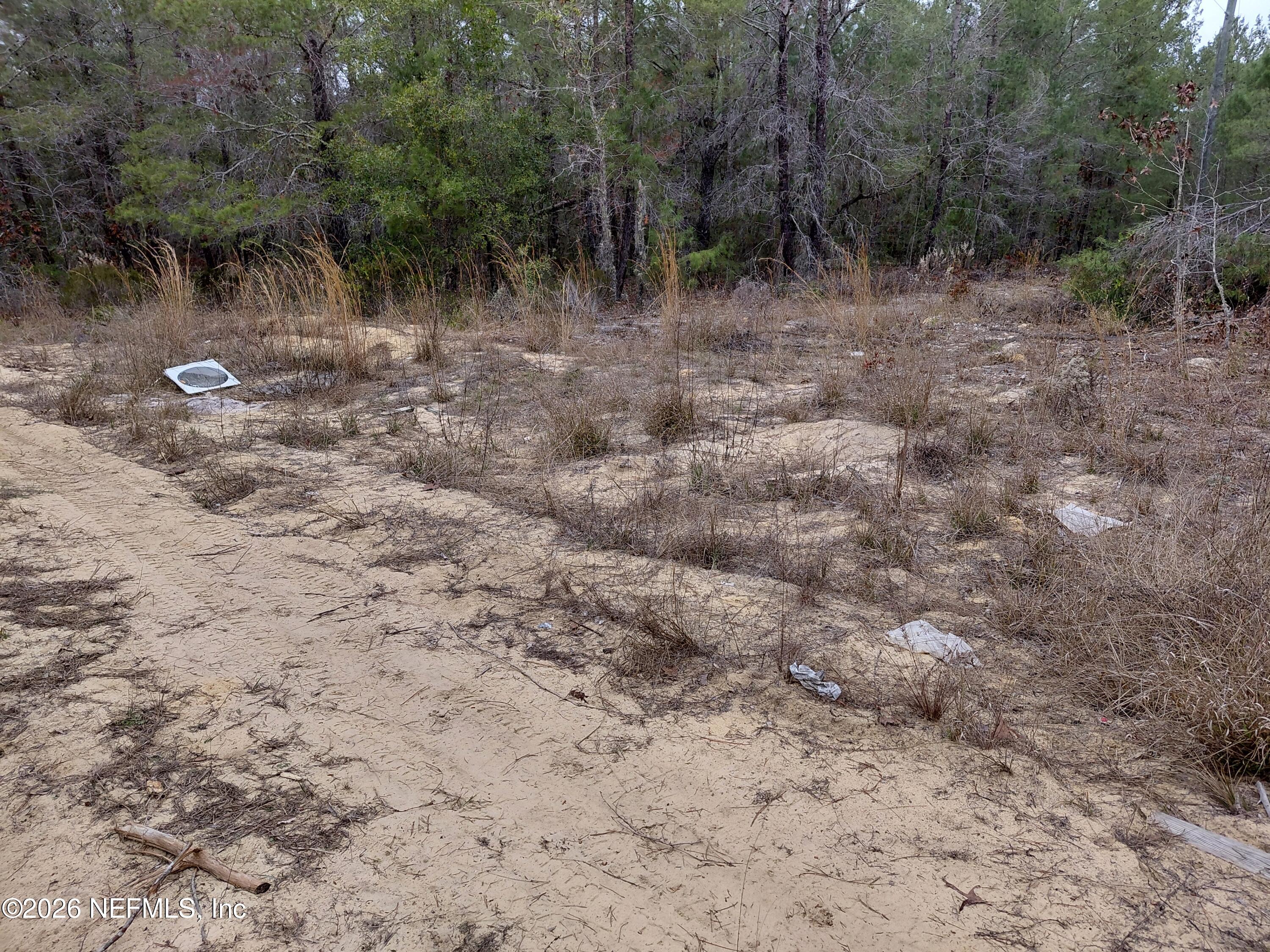 0 Oak Terrace Interlachen, FL 32148 - Photo 8 of 9 Oak Terrace 13