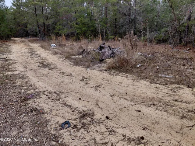 $10,000 | 0 Oak Terrace, Interlachen, FL 32148