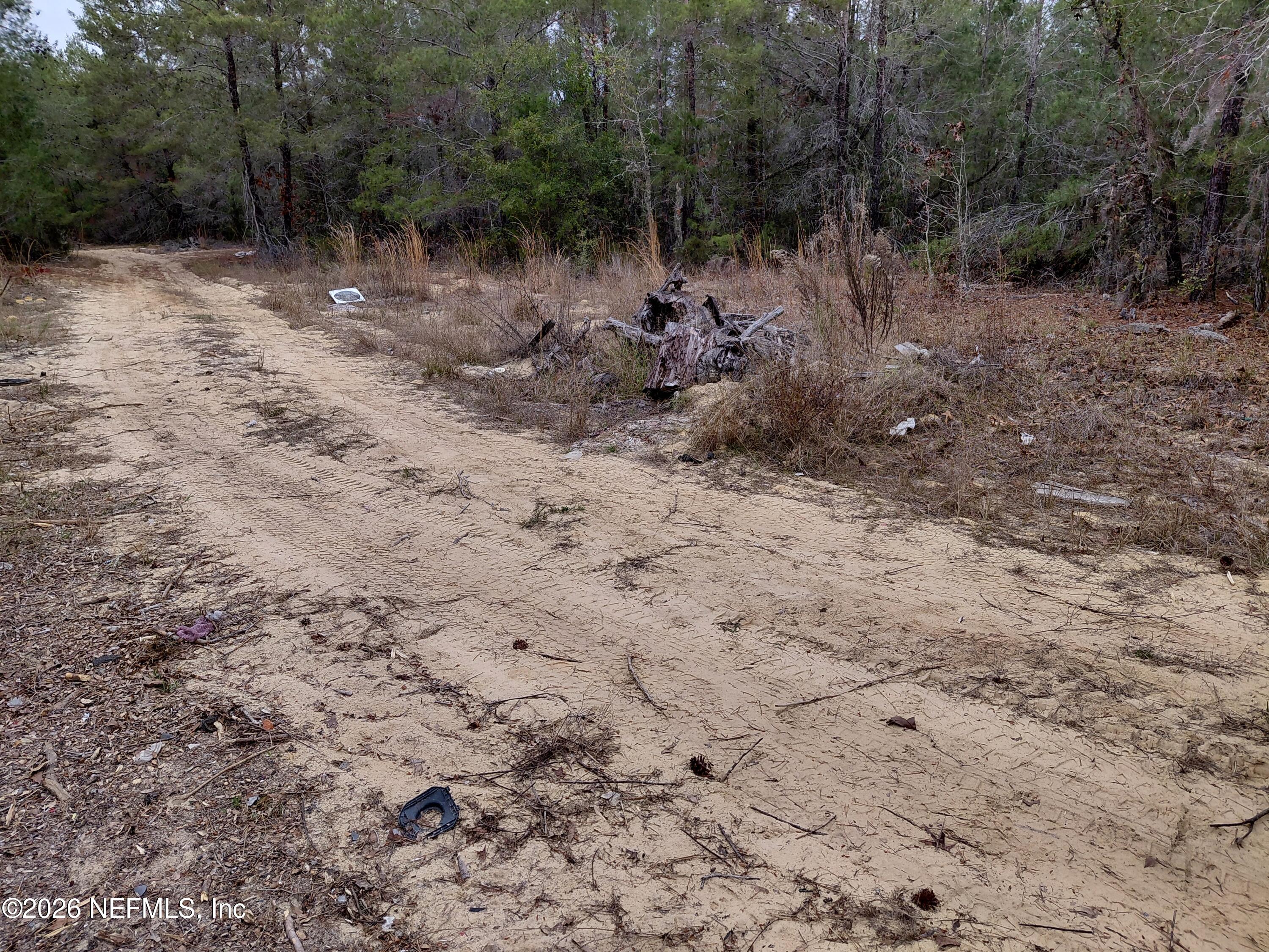 0 Oak Terrace Interlachen, FL 32148 - Photo 9 of 9 20260112_134425