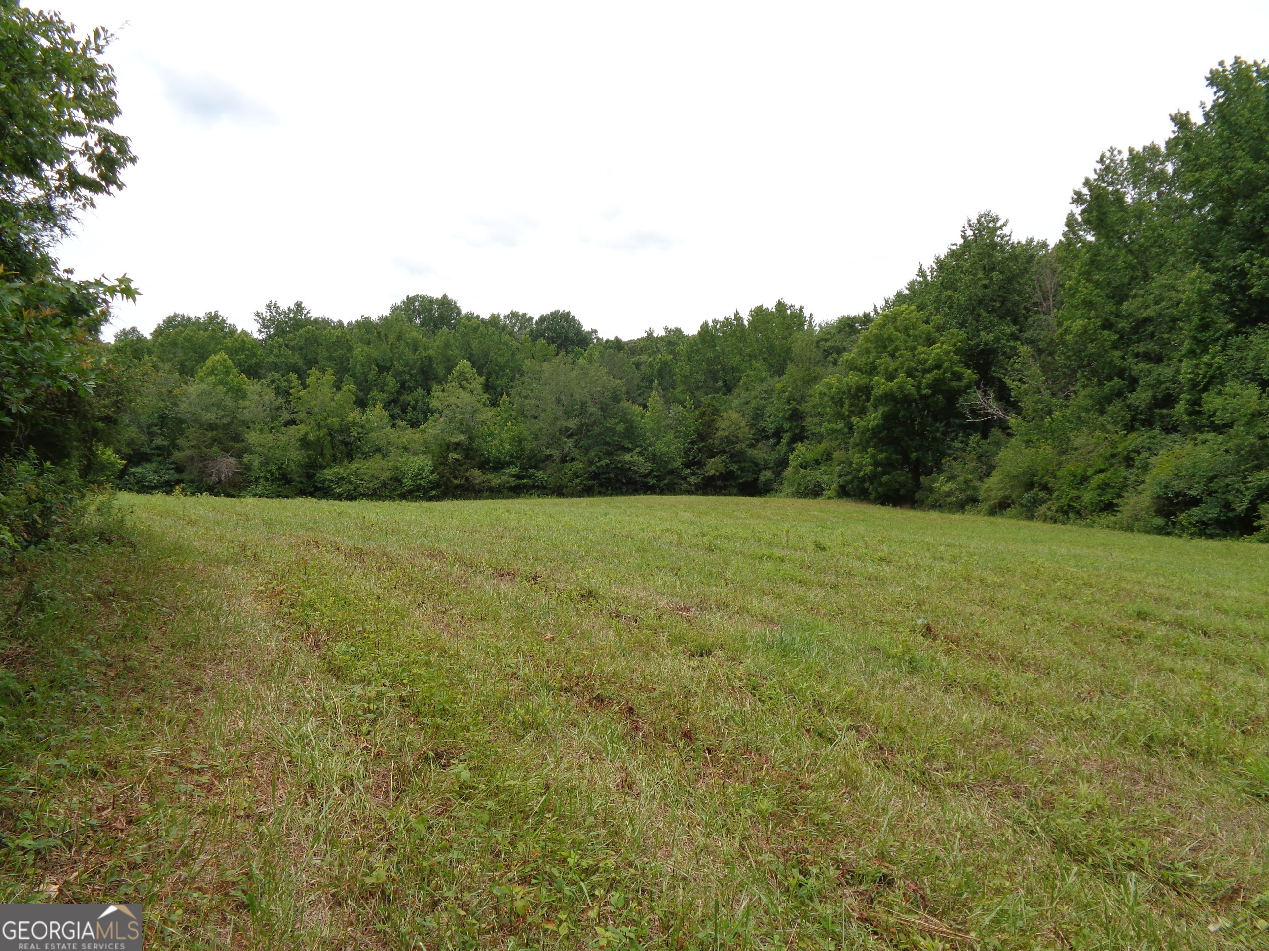 2411 Kesler Road Carnesville, GA 30521 - Photo 56 of 61 a view of a field with a tree in the background