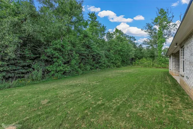 a view of a lush green space