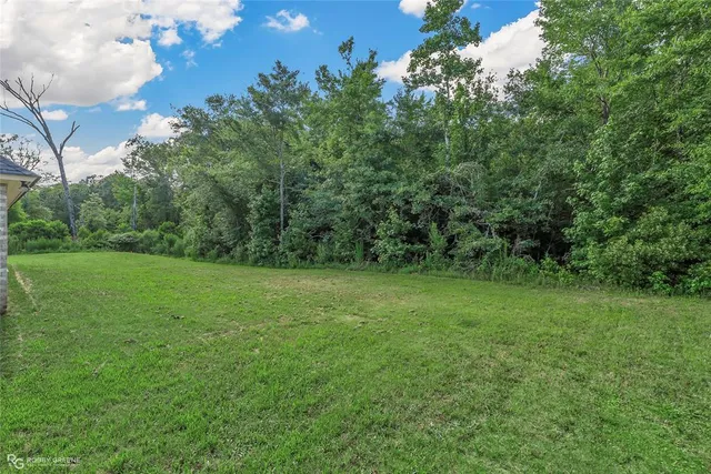 a view of a grassy field with trees in the background
