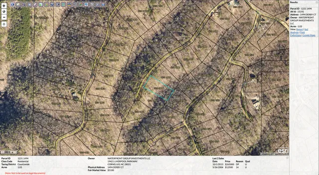 a black and white photo of a tree