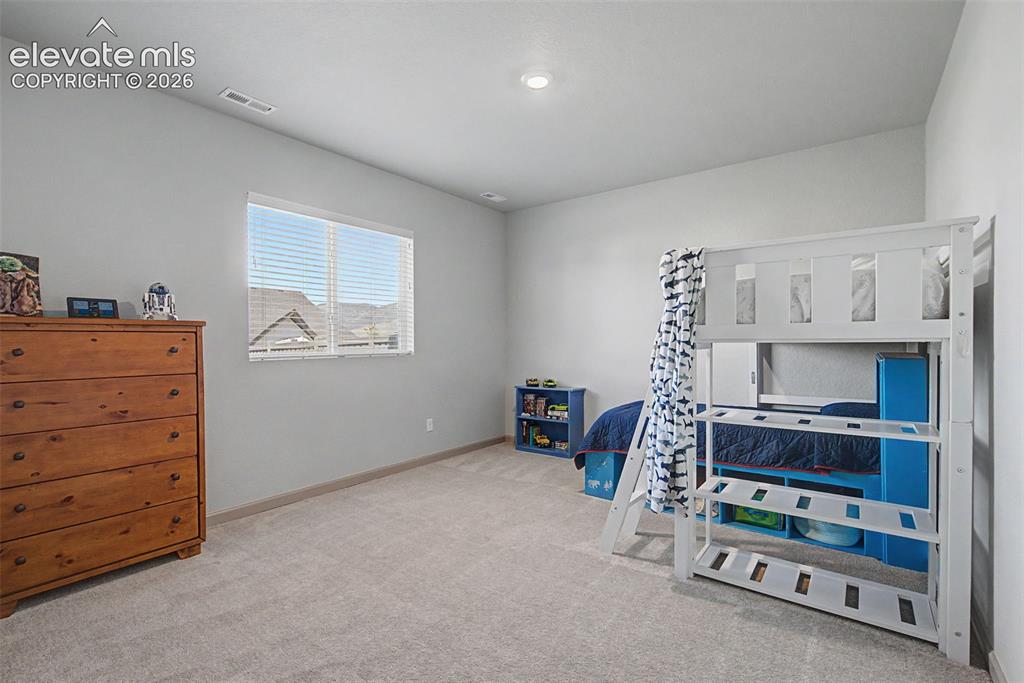 11634 Justify Drive Colorado Springs, CO 80921 - Photo 23 of 46