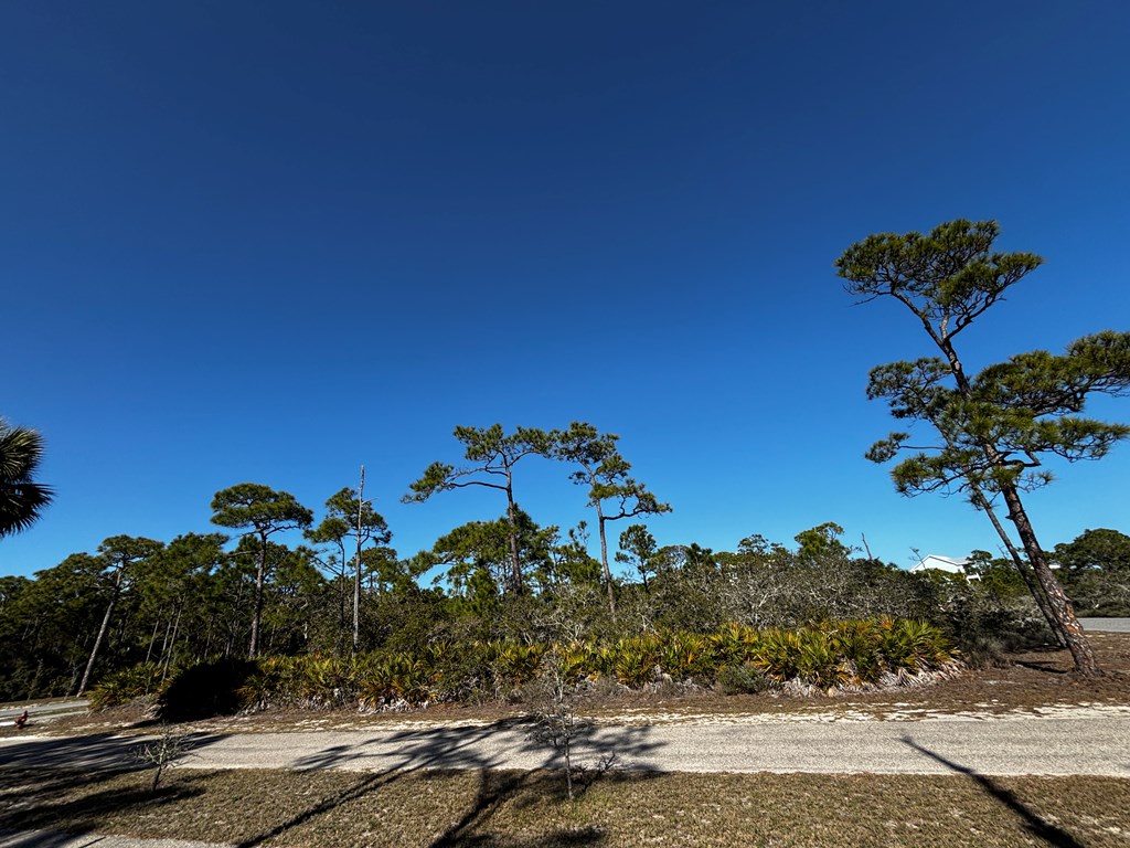2000 Pelican Way St. George Island, FL 32328 - Photo 4 of 19