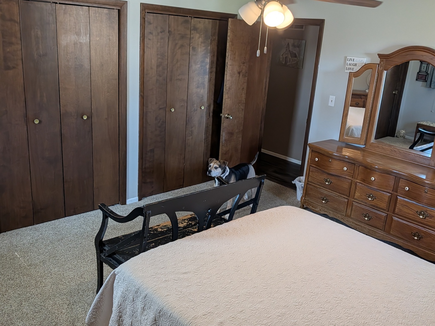 4 James Court Minier, IL 61759 - Photo 12 of 16 a bedroom with a bed and a mirror on dresser