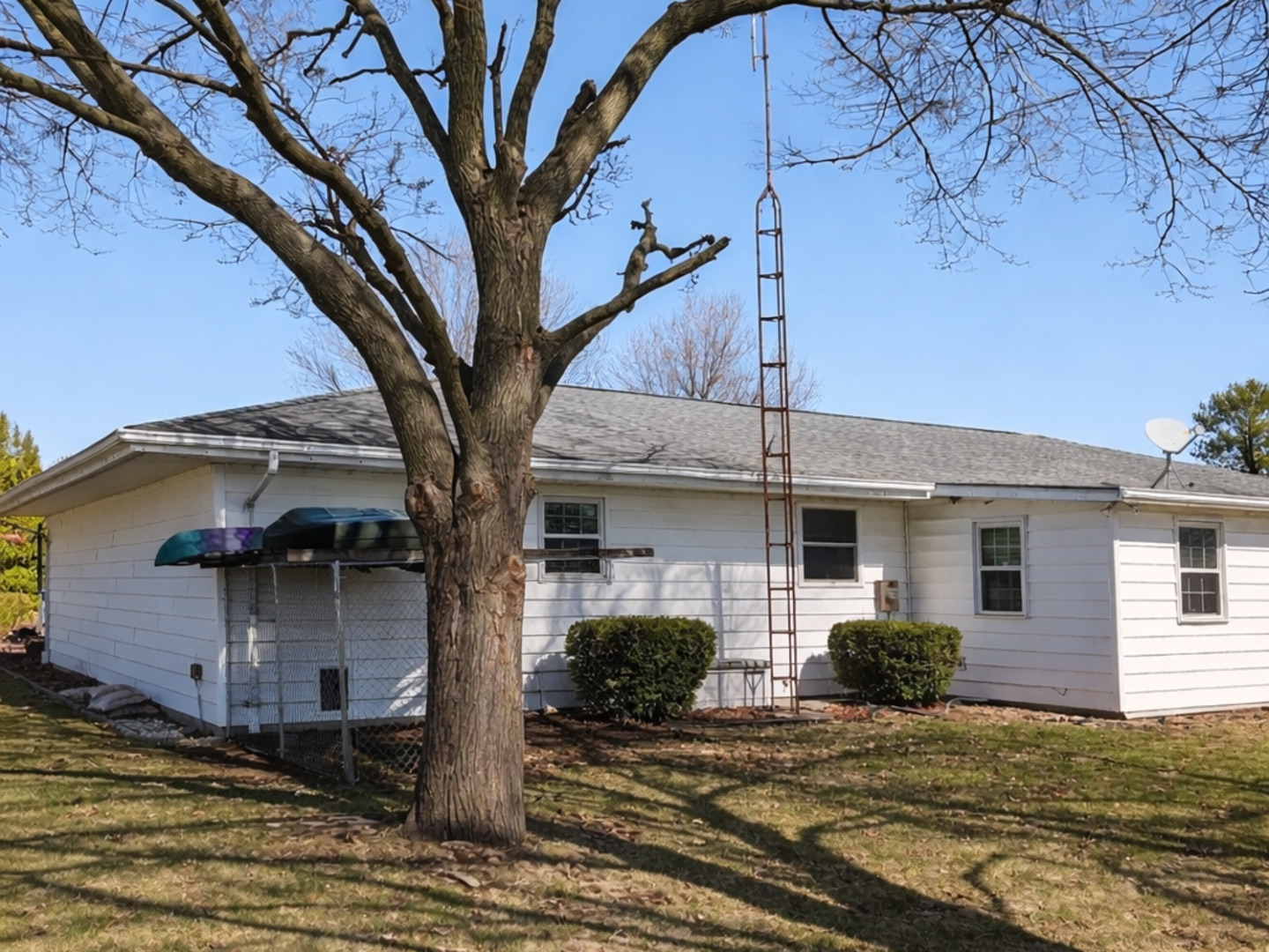 4 James Court Minier, IL 61759 - Photo 16 of 16 a view of a house with a tree in the background